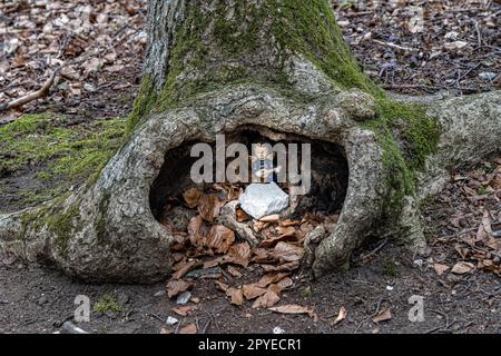 Kleiner Engel mit Gitarre in einem Loch in einem Baum mitten im Wald Stockfoto