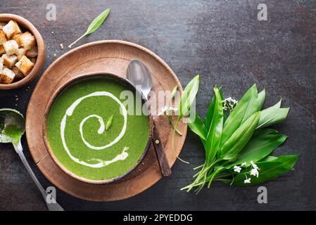 Suppenramson wilder Knoblauch Stockfoto