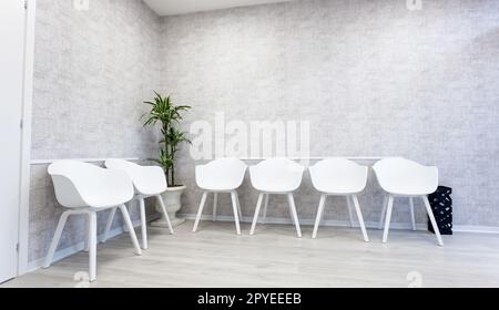 Wartezimmer-Interieur mit sechs weißen Stühlen auf dem Parkettboden. Weißes und modernes Zimmer im Büro oder in der Arztpraxis. Stockfoto