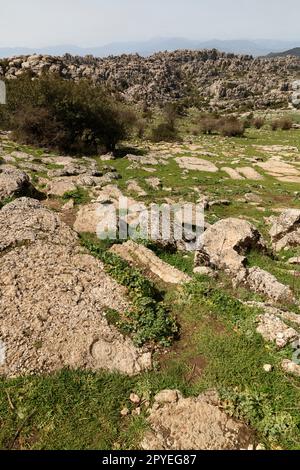 El Torcal de Antequera. Bonitos paisajes Karsticos, con muchas huellas de Amonites. Stockfoto