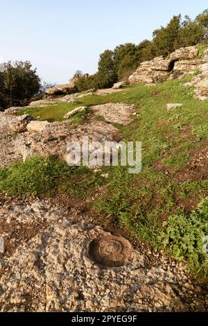 El Torcal de Antequera. Bonitos paisajes Karsticos, con muchas huellas de Amonites. Stockfoto