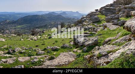 El Torcal de Antequera. Bonitos paisajes Karsticos, con muchas huellas de Amonites. Stockfoto