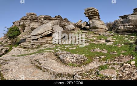 El Torcal de Antequera. Bonitos paisajes Karsticos, con muchas huellas de Amonites. Stockfoto