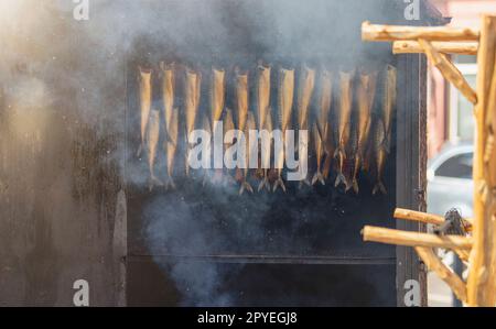 Heiß geräucherter Stör. Ein ganzer heiß geräucherter Stör liegt im Raucherladen. Der Vorgang des Räucherns exotischer Fische. Stockfoto