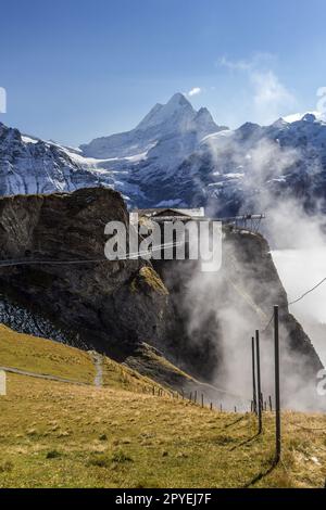 Nebel steigt auf den Sky Cliff Walk auf dem ersten Gipfel des Alpenbergs in Grindelwald Schweiz. Stockfoto