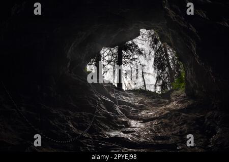 Die Höhle Smocza Jama in Polen Stockfoto