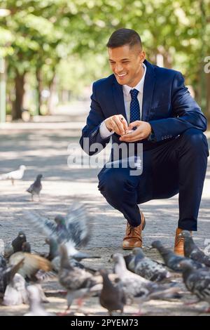 Geschäfts-, Mann- und Vogelfütterung im Park während einer Arbeitspause für Glück und Frieden. Geschäftsmann, füttern und hungrige Tauben essen in einem Naturgarten während einer Mittagspause Stockfoto