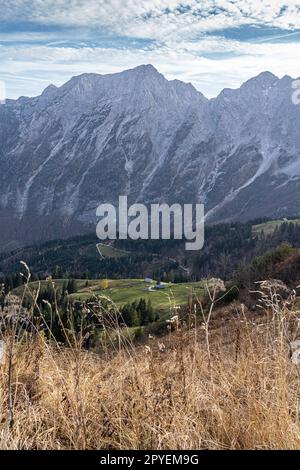 Riesige Bergkette, Wald und Wiesen der deutschen Alpen Stockfoto