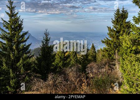 Riesige Bergkette, Wald und Wiesen der deutschen Alpen Stockfoto