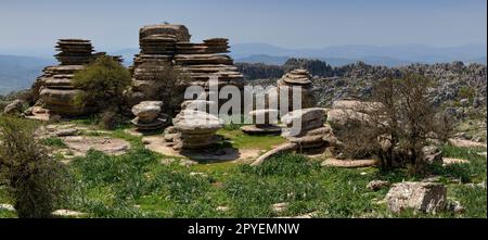 El Torcal de Antequera. Bonitos paisajes Karsticos, con muchas huellas de Amonites. Stockfoto