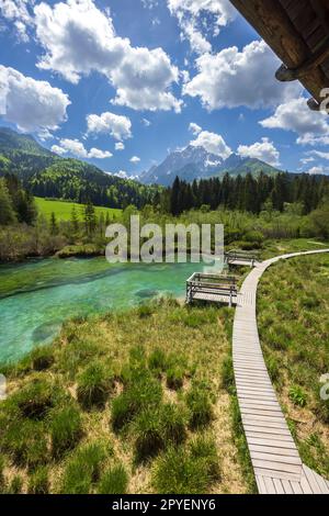 Frühlingslandschaft in Zelenci, Slowenien Stockfoto