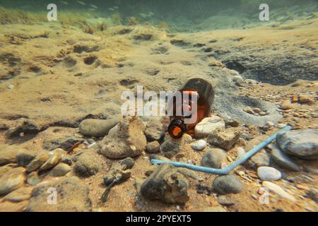 Unterwasser Foto - kleine braune Bier Flasche und Kunststoff blau Stroh auf Meeresboden. Ozean littering Konzept. Stockfoto