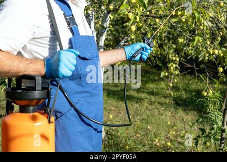 Essizide, Insektizide oder Herbizide Glyphosat-Sprühen. Nichtökologische/nichtbiologische Früchte. Stockfoto