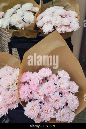 Wunderschöne Geschenksträuße aus Chrysanthemen in braunem Kraftpapier, auf der Theke eines Blumenladens, vertikal Stockfoto