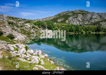 Enol-See in Picos de Europa, Asturien, Spanien Stockfoto