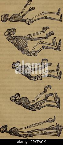 „Unser Hausarzt: Ein neuer und beliebter Leitfaden zur Kunst der Erhaltung der Gesundheit und der Behandlung von Krankheiten; mit einfachen Ratschlägen für alle medizinischen und chirurgischen Notfälle der Familie“ (1869) Stockfoto