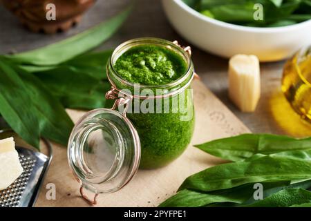 Ein Glas grünes Pesto aus frischen Knoblauchblättern, Parmesankäse und Öl Stockfoto