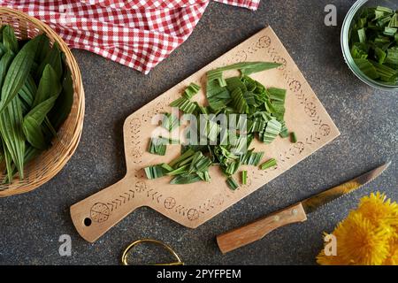 Frische ibwürzige Wannenblätter auf einem Tisch zerschneiden - Herstellung von Kräutersirup gegen Husten Stockfoto