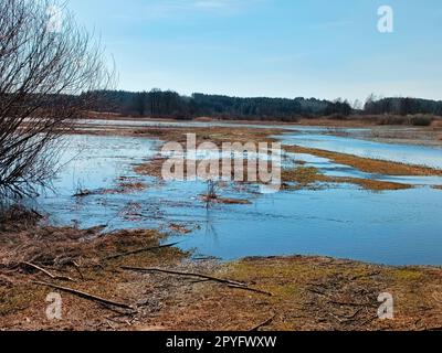 Frühling, Flüsse auf landwirtschaftlichen Wiesen. Reflexion in von Wasser bedeckten Unterwasserfeldern. Saisonaler Überlauf. Ländliches sonniges Panorama. Stockfoto