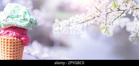 Eiscreme in einer Waffel im Frühling Stockfoto