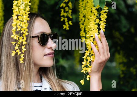 Eine Frau hält die Blüte von Laburnum anagyroides in der Hand Stockfoto