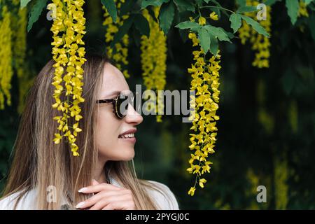 Eine Frau wandelt zwischen den blühenden gelben Blüten von Laburnum anagyroides Stockfoto