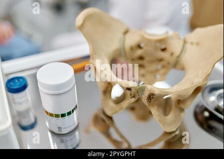 Anatomisches Skelettstrukturmodell des Beckens und Pillen auf dem Tisch Stockfoto