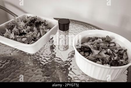 Grüner Salat mit Tomaten, Salz und Pfeffer, serviert in Südafrika. Stockfoto