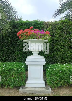 Dekorativer Topf im römischen Blumenstil im Garten Stockfoto