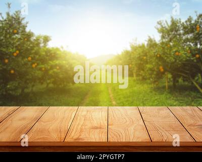 Holztisch mit freiem Platz für Ihre Dekoration und Orangenbäume mit Früchten im Sonnenlicht Stockfoto