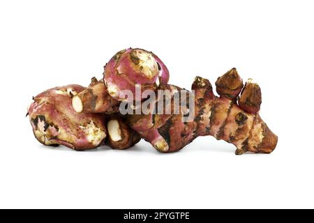 Jerusalem-Artischocke (Helianthus tuberosus) auf Weiß Stockfoto