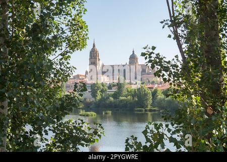 Tormes und Kathedrale der Stadt Salamanca in Spanien Stockfoto