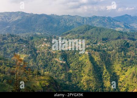 Die kleine Stadt Ella hat eine reiche biologische Vielfalt und ist von Wald- und Teeplantagen umgeben Stockfoto