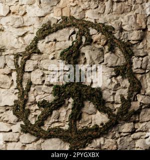 Ivy-Pflanze als Friedenszeichen an einer rustikalen Steinmauer Stockfoto