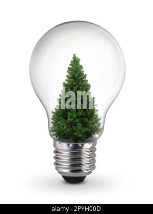 Dekorierter Weihnachtsbaum im Inneren einer Glühbirne auf weißem Hintergrund, Inspirationskonzept Stockfoto