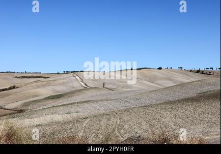 Die ländliche Landschaft in der Nähe von San Quirico in der Toskana. Stockfoto