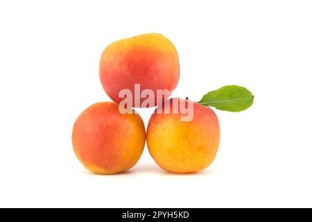 Frische Aprikosen, isoliert auf weißem Hintergrund Stockfoto