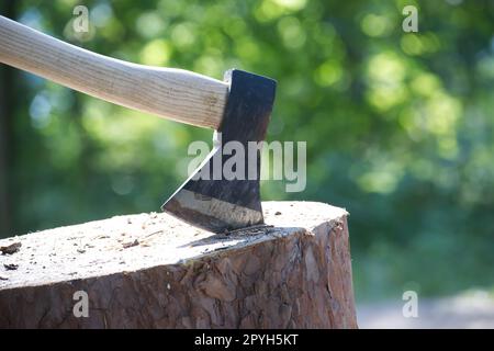 Häcksler oder Axt stehen aufrecht in einem Baumstumpf Stockfoto