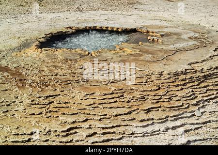 Dampfende Quellen und Fumarolen in Hveravellir, Island Stockfoto