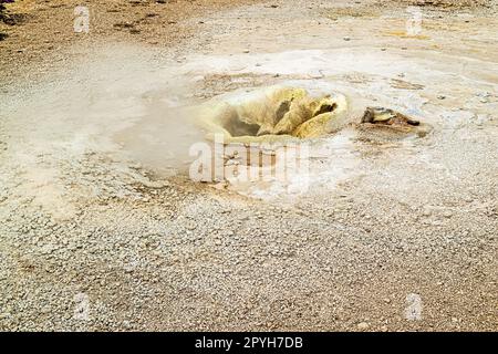 Dampfende Quellen und Fumarolen in Hveravellir, Island Stockfoto