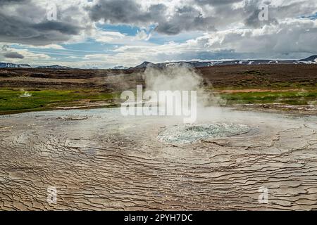 Dampfende Quellen und Fumarolen in Hveravellir, Island Stockfoto