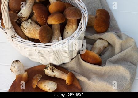 Weißer Korb mit braunen Boletus-Pilzen Stockfoto