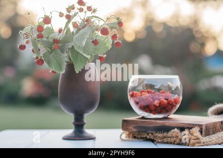 Erdbeerbusch in Glasvase und geschälte Erdbeeren in Glasschüssel auf Holzbrett auf Wolltuch Stockfoto