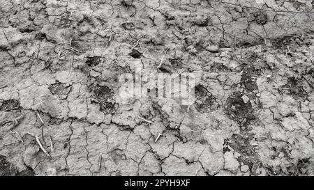 Feuchtes, fruchtbares Land. Tonerde. Vorbereitung des Landes für die Anpflanzung. Landwirtschaftliches und natürliches Thema. Ton, Furchen, Heu auf dem Feld. Stockfoto