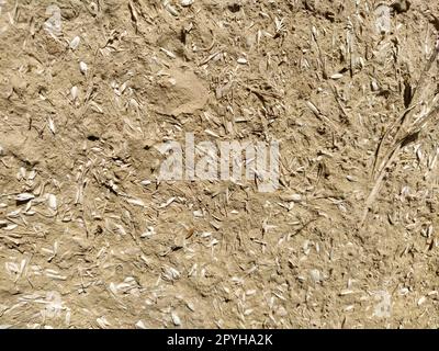 Nahhintergrund der Wand eines alten Hauses aus Ton und Stroh. Alte Bauart. Tonwand aus Stroh und Schlamm. Gülle mit Ton vermischt und als Baumaterial getrocknet Stockfoto