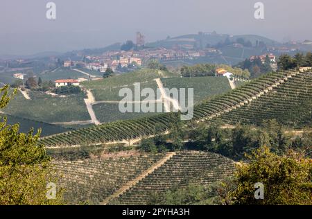 Langhe Vineyards in der Nähe von Barolo und La Morra, Italien Stockfoto