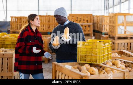 Mann und Frau Bauern reden während des Stapels von Kürbissen Stockfoto