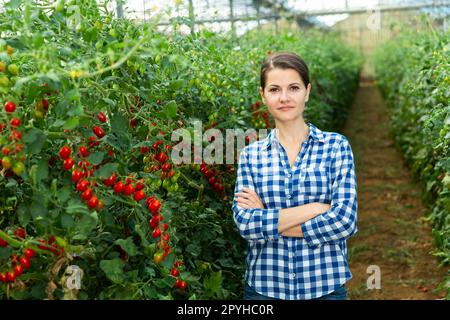 Bäuerin mit Kirschtomaten im Gewächshaus Stockfoto