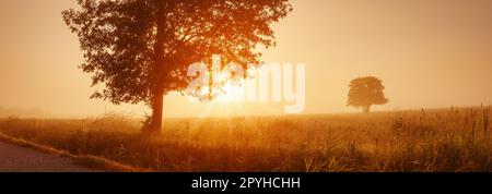 Sonnenaufgang auf dem Feld am nebligen Morgen. Stockfoto