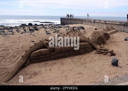 Gran-Canaria-Rieseneidechse (Gallotia stehlini) Stockfoto